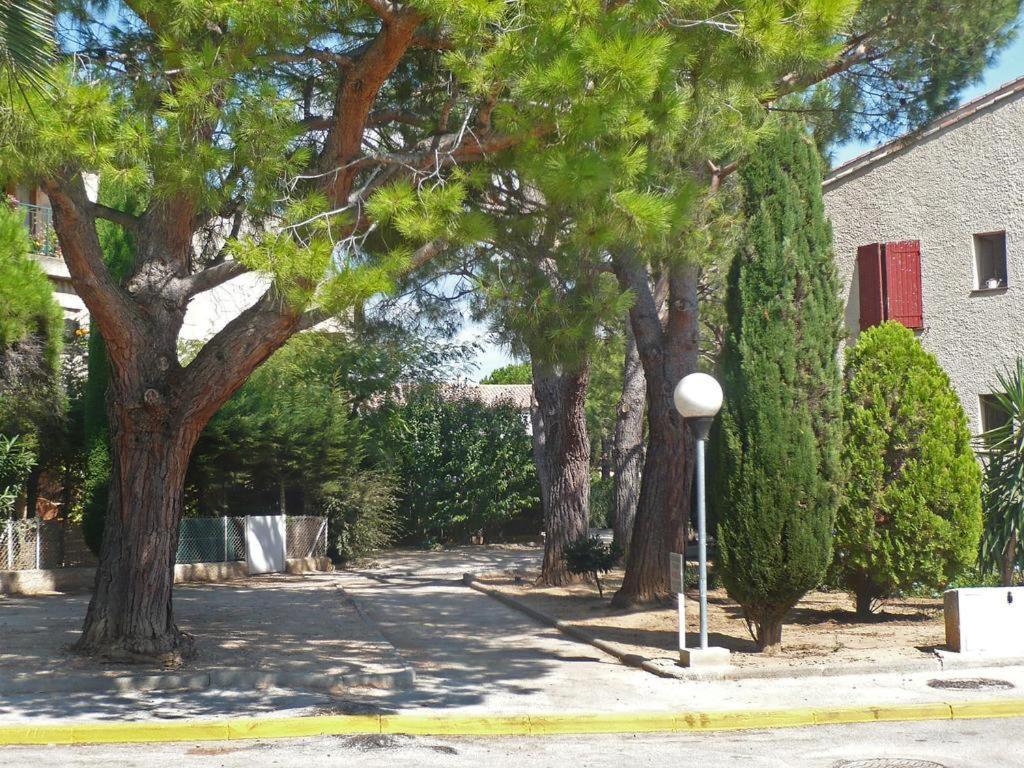 Au Calme Residence L'Ile Heureuse 莱克斯 外观 照片